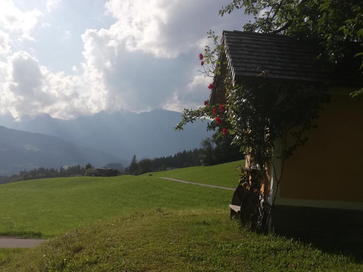 Appartement Steinerhof Werfenweng Dış mekan fotoğraf