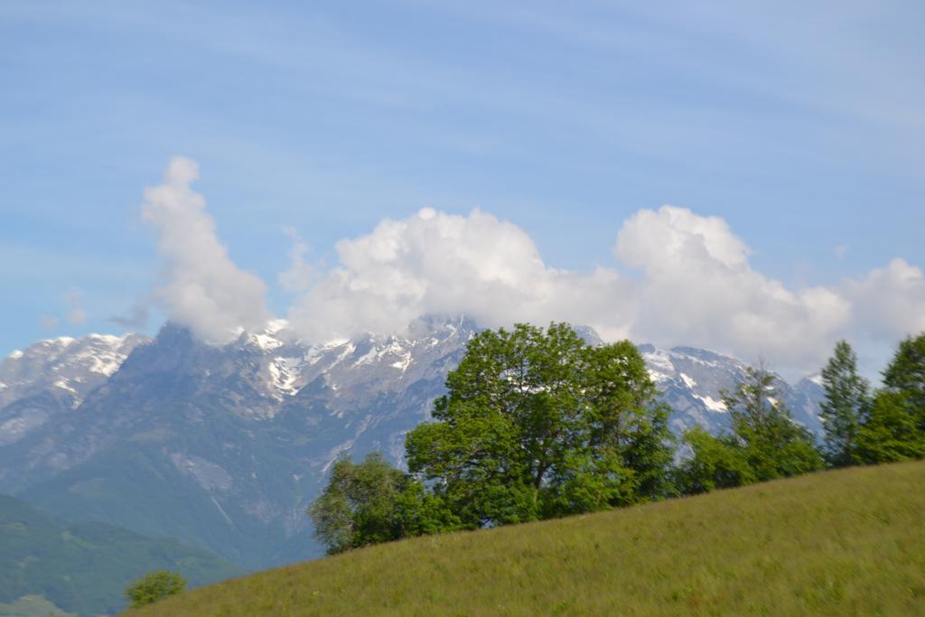 Appartement Steinerhof Werfenweng Dış mekan fotoğraf
