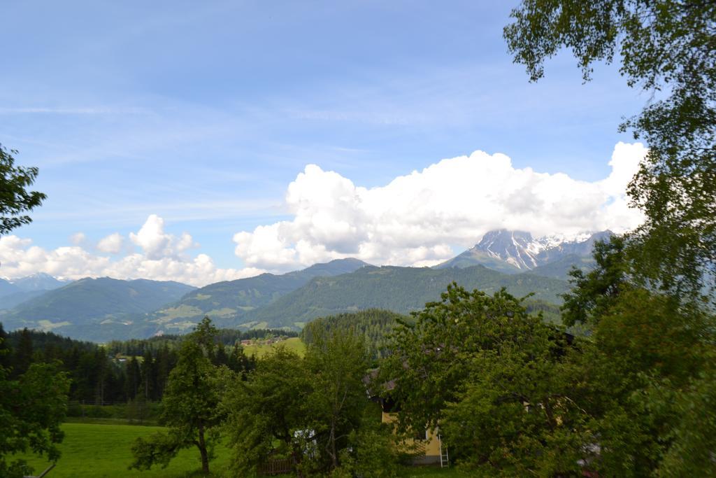 Appartement Steinerhof Werfenweng Dış mekan fotoğraf