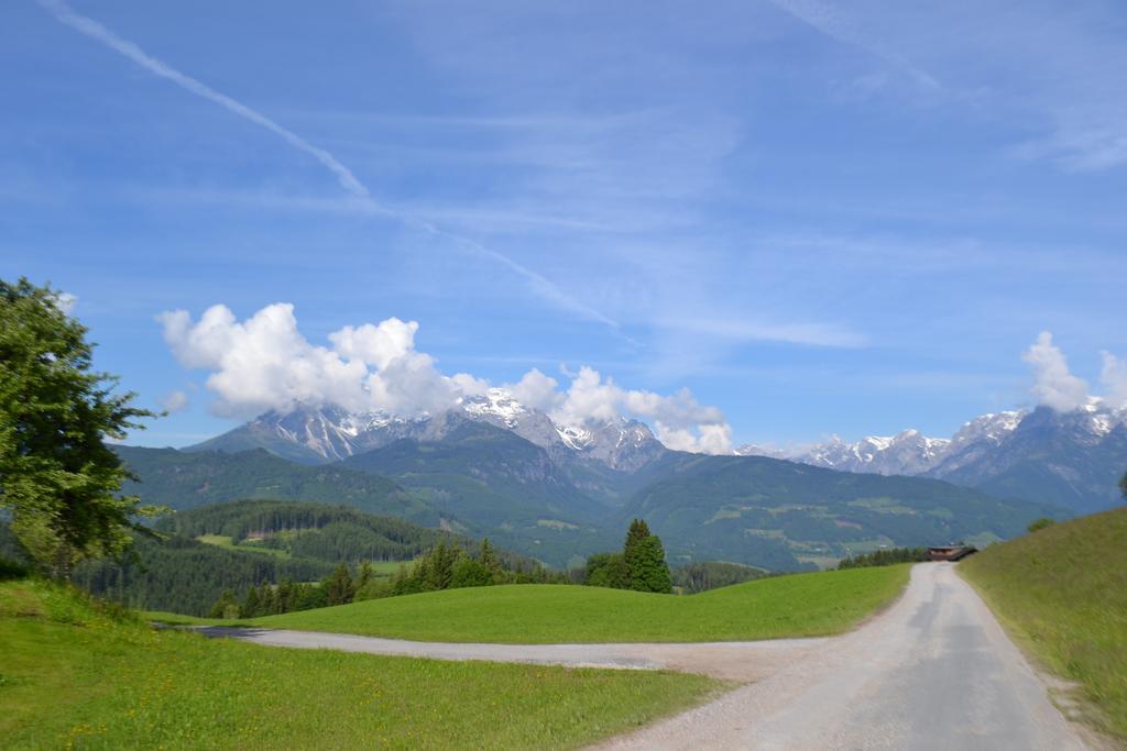 Appartement Steinerhof Werfenweng Oda fotoğraf